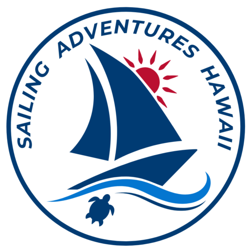 cropped-Logo-SAH-1000-px.png
